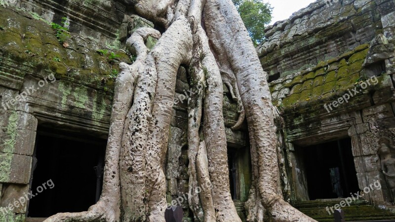 Cambodia Angkor Temple Ta Prohm History