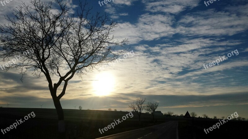 Sun Clouds Tree Sky Sunset