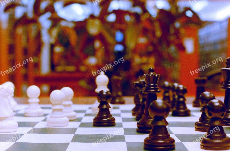 Chess Play Game Free Photos