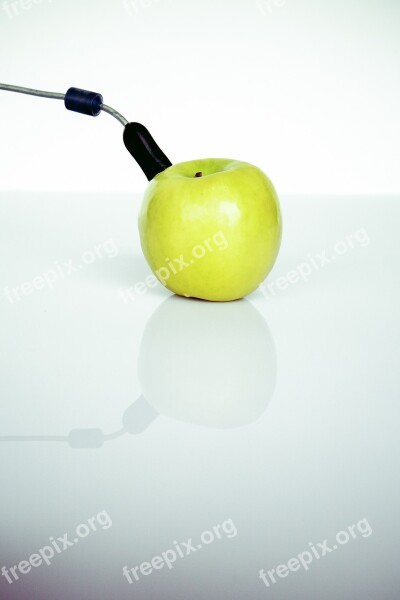 Apple Metaphor Symbol Usb Plug