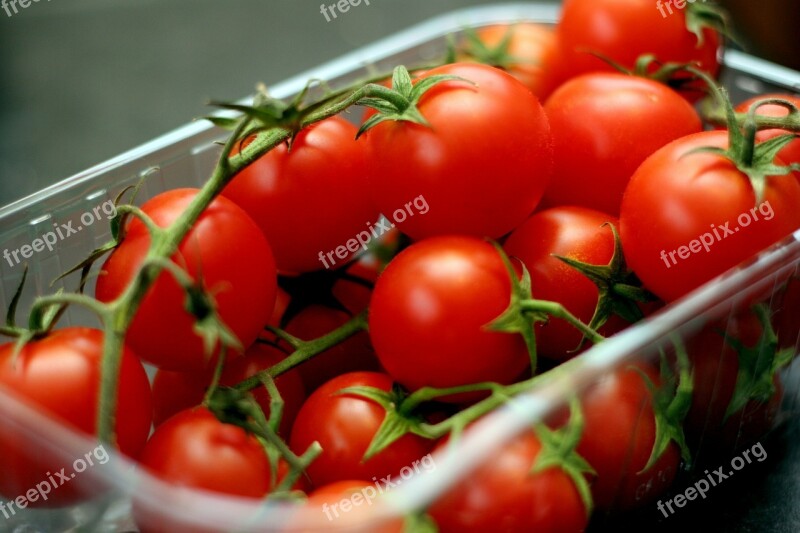 Tomatoes Tomato Vine Red Healthy