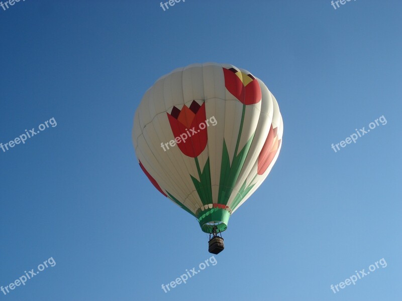 Balloon Sky Tulips Free Photos