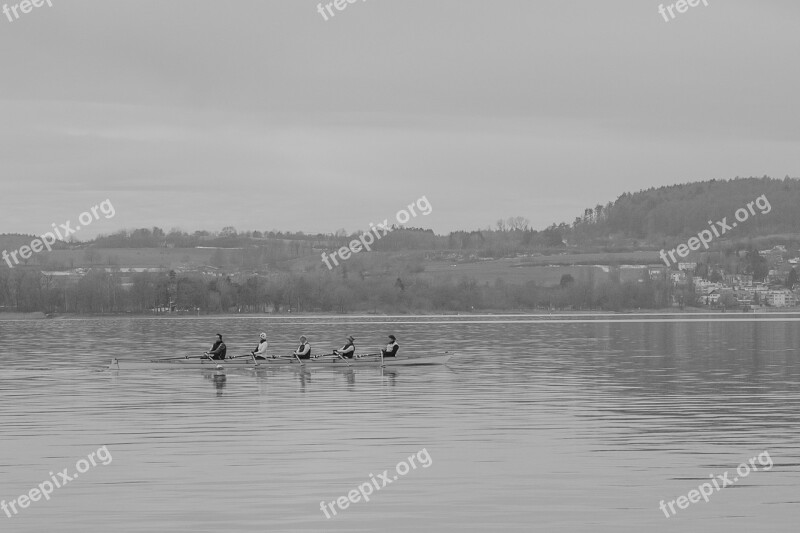 Lake Constance Rowing Rowing Boat Canoeing Nature