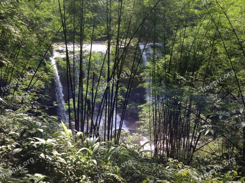 Chishui Falls Bamboo Free Photos