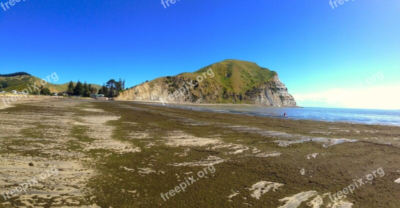 New Zealand Beach Sea Seaside Ocean