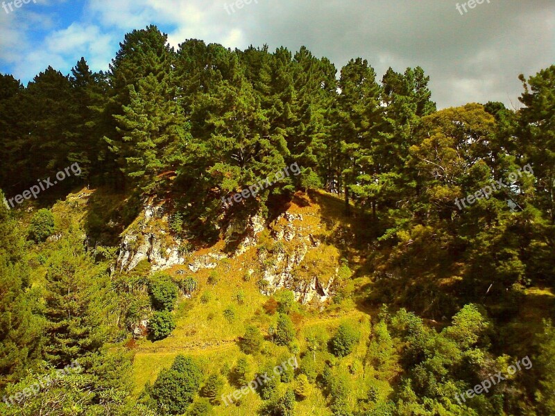 Woods Valley Forest Landscape Nature