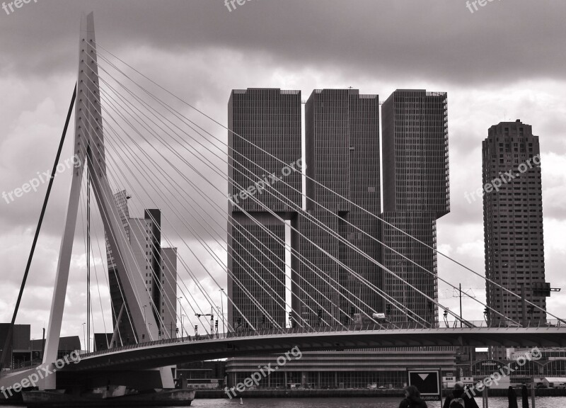 Erasmus Bridge Rotterdam Bridge Free Photos