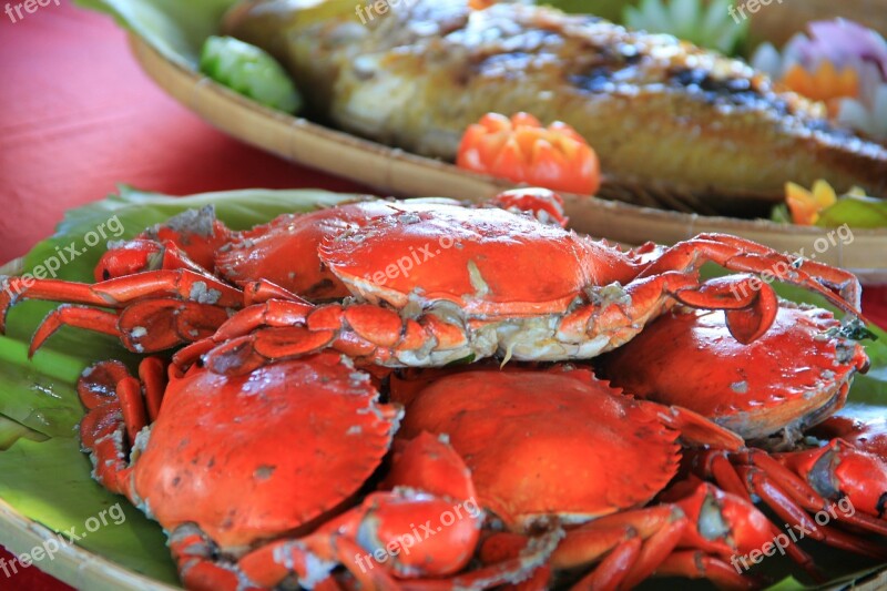 Crabs Seafood Sea Palawan Fresh