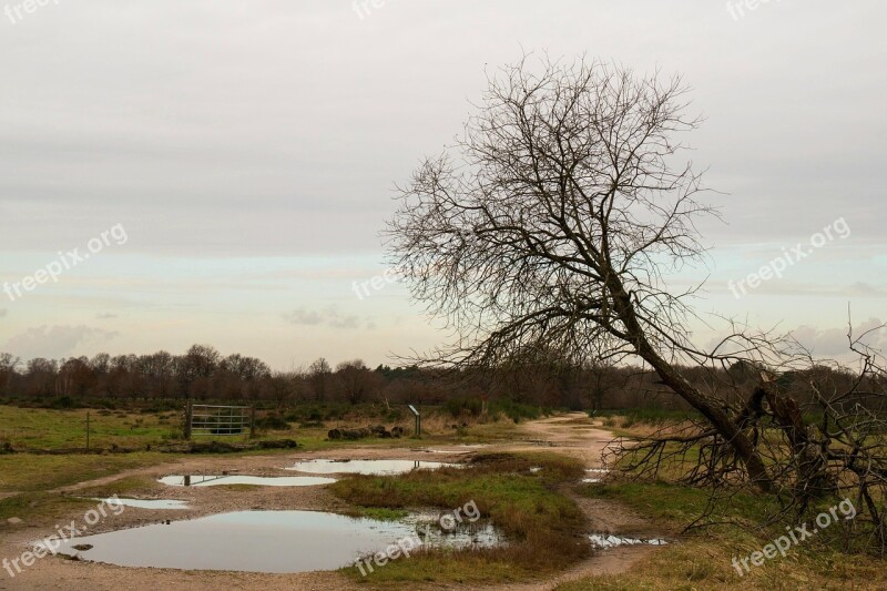 Heide Tree Puddle Nature Reserve Hiking