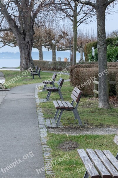 Bank Bench Rest Nature Seat