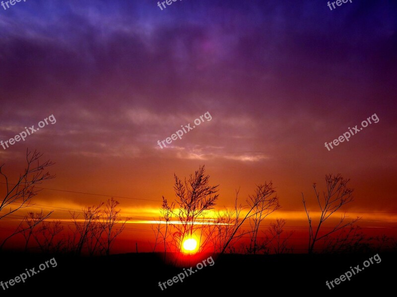 Sunset Plants Sky Cloud Sun