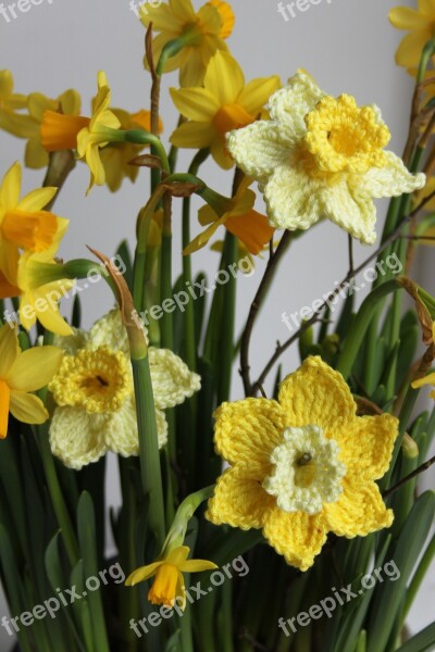 Narcis Crochet Flowers Floral Crochet Crochet Yellow