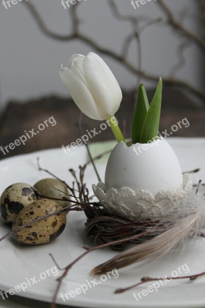 Tulip Egg Easter Decoration Quail Eggs Spring