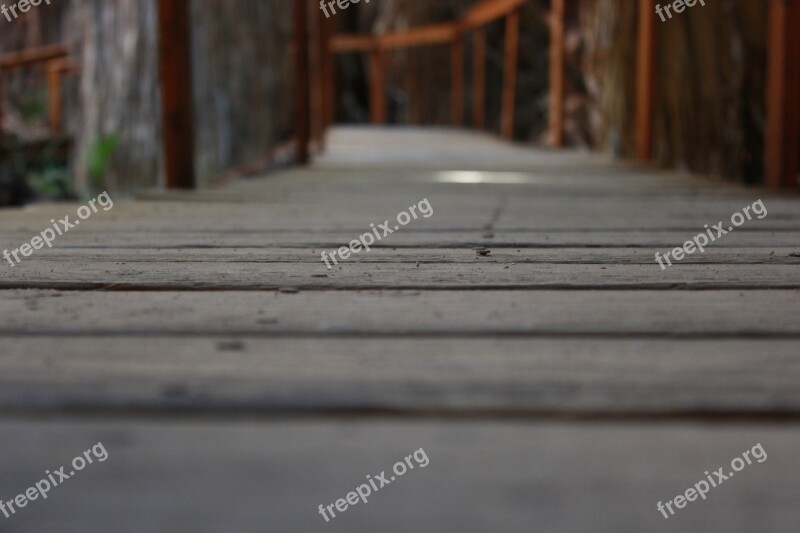 The Path Way Footbridge Wooden Bridge Free Photos