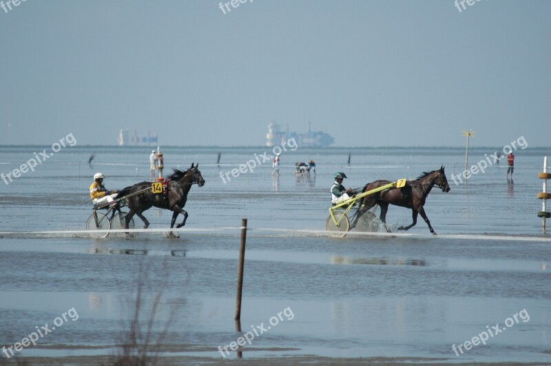 Sea Duhnen Watts Race Ships Horses