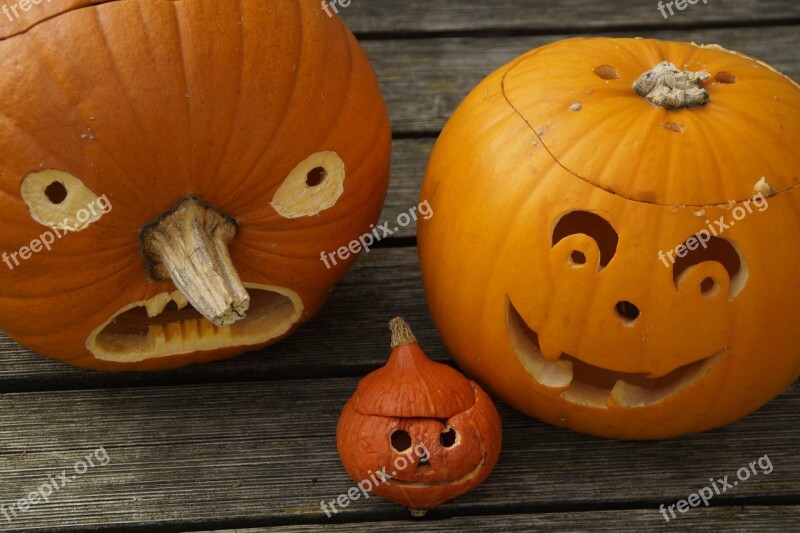 Pumpkins Three Halloween Family Cheeky