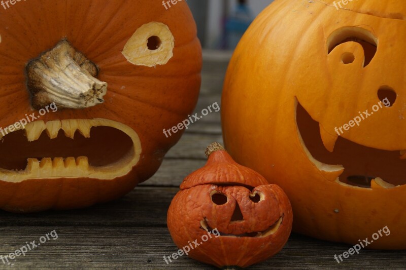 Pumpkins Three Halloween Family Cheeky