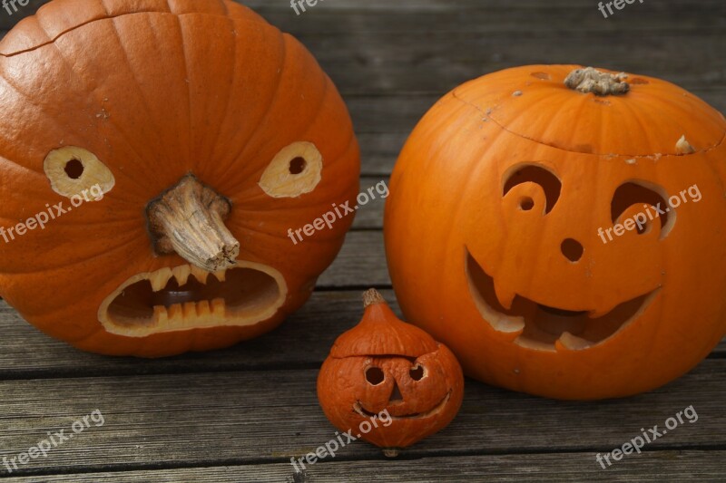 Pumpkins Three Halloween Family Cheeky