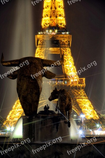 Eiffel Tower Night Flicker Monument Bull