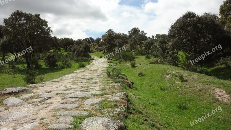 Calzada Romana Landscape Oaks Free Photos