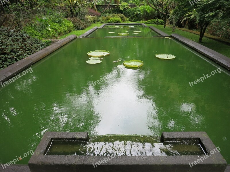 Lake Rose Pond Green Water