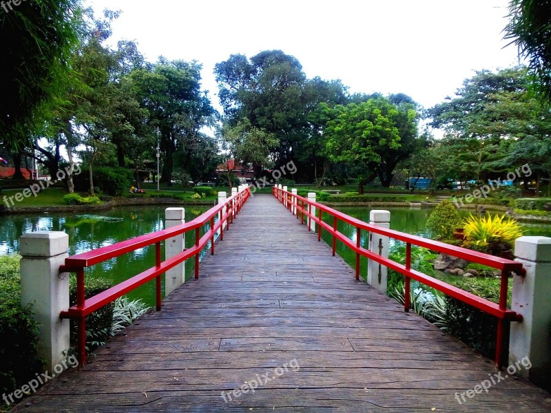 Japanese Garden Park Landscape Japanese Garden