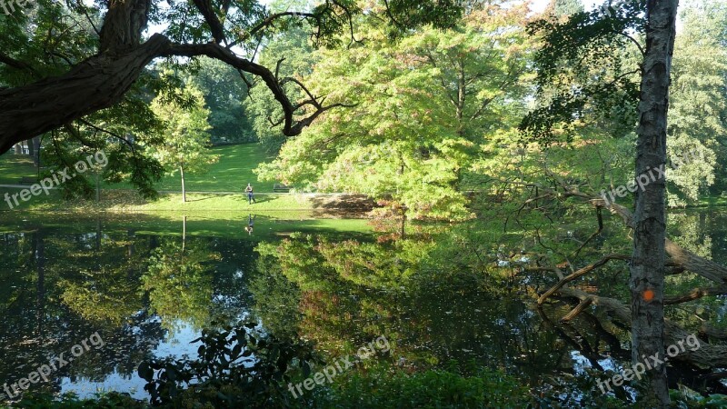 Bremen Citizens Park Nature Landscape Autumn