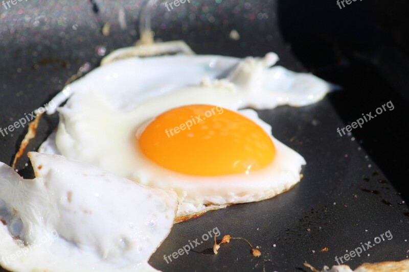 Fried Fry Pan Egg Protein