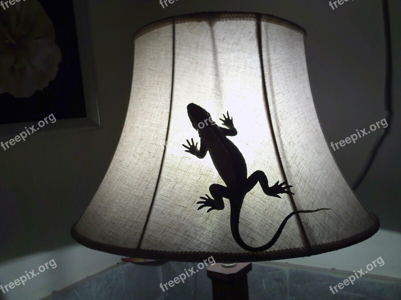 Gecko Lizard Reptile Reptilian Animal