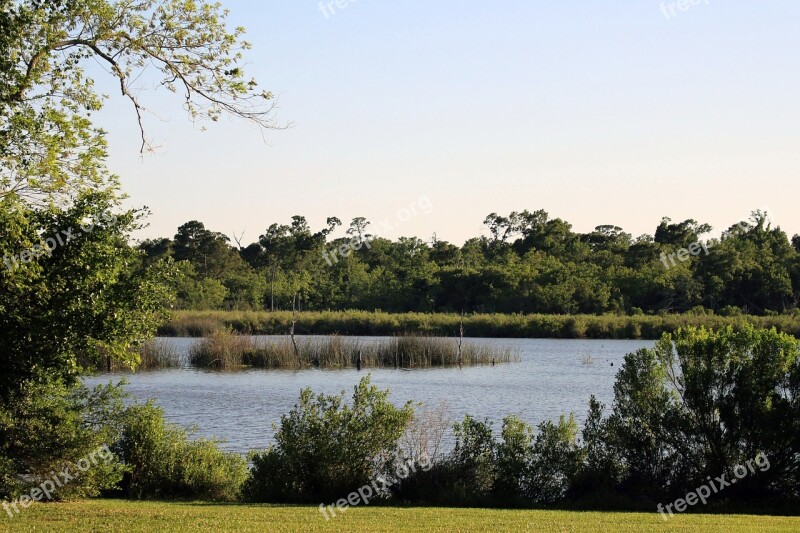 Park Lake Nature Water Landscape