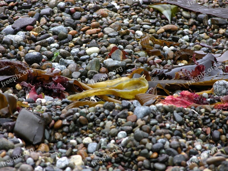 Pebbles Beach Stone Nature Outdoors