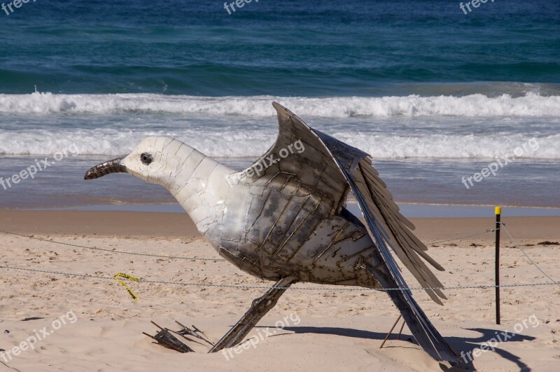 Gull Seagull Large Model Sculpture