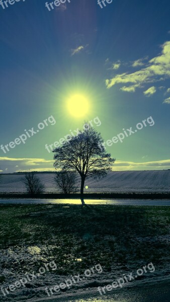 Sun Tree Sky Mood Backlighting