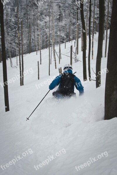 Freeride Skis Winter Forest Free Photos