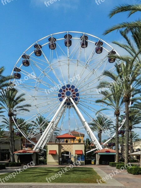 Ferris Wheel Giant Wheel Park Amusement Fun