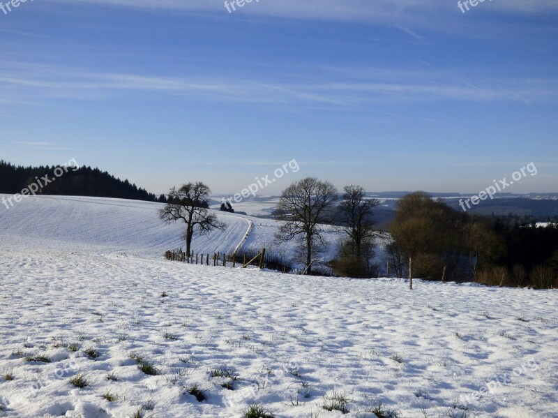 Snow Winter Landscape Cold Freeze January