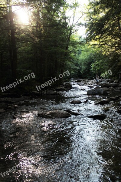 Stream Rocks Sun Through Trees Landscape Summer