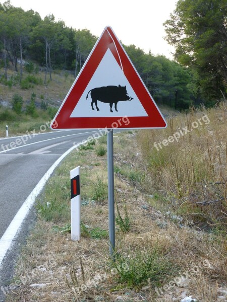 Street Sign Wild Boar Road Free Photos