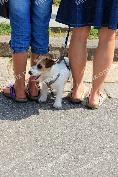 Dog Legs Knuffig Sandals Birkenstock