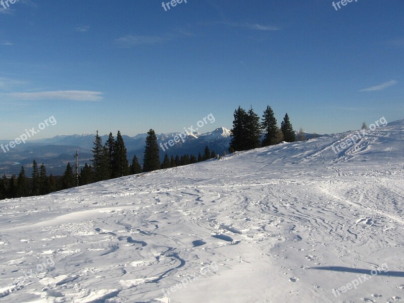 Wintry Winter Forest Snow Winter Carinthia