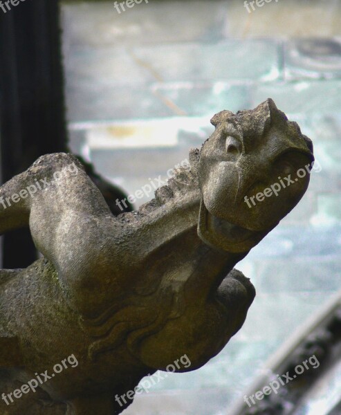 The Nidaros Cathedral Gargoyle Detail Free Photos