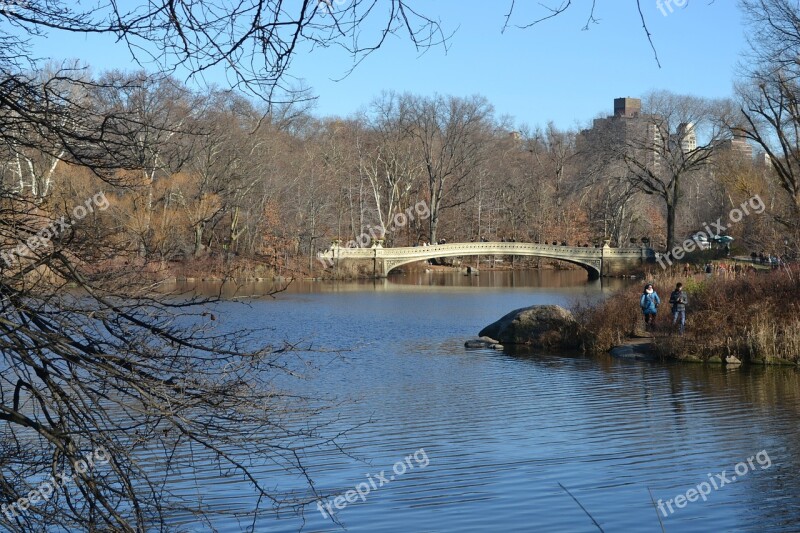 Central Park Park Winter Lake Bridge