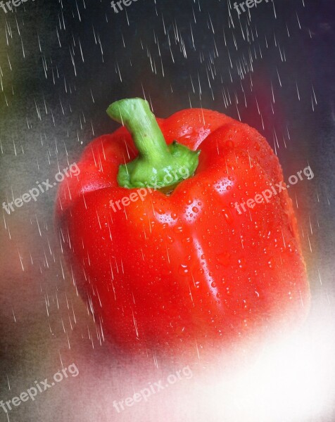 Paprika Red Vegetables Rain Food