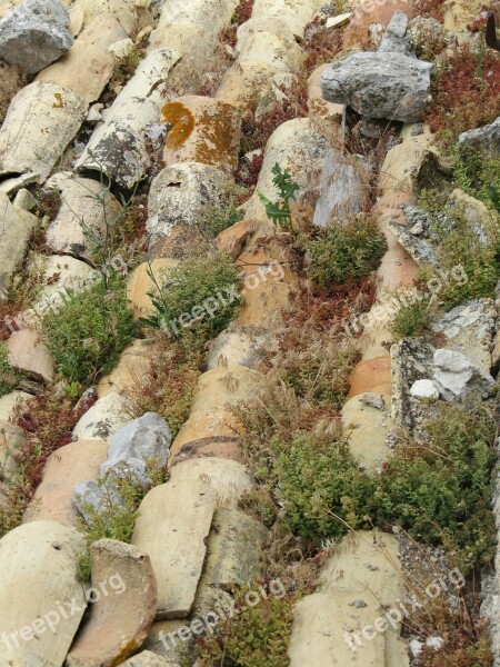 Roof Tiles Old Succulents Sedum Moss