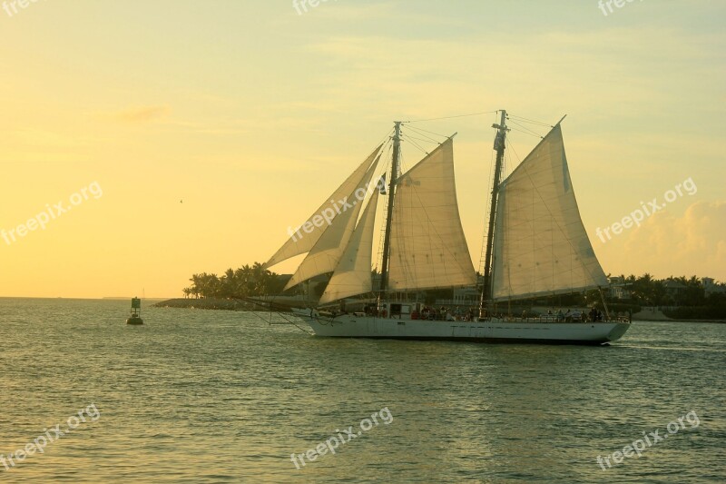 Sailboat Sunset Water Ocean Vessel