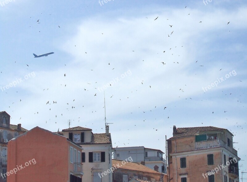 Corfu Town Skyline Old Town Swallows