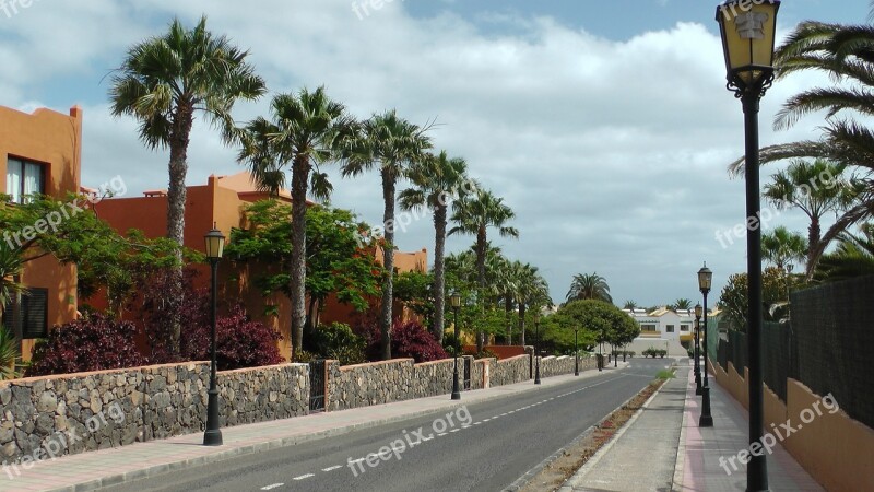 Palm Trees Road Clouds Vacations Free Photos