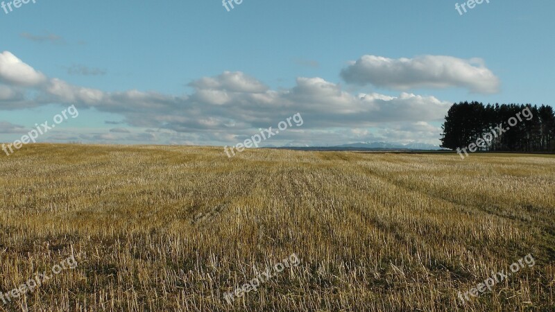 Field Cornfield Clouds Nature Golden Yellow