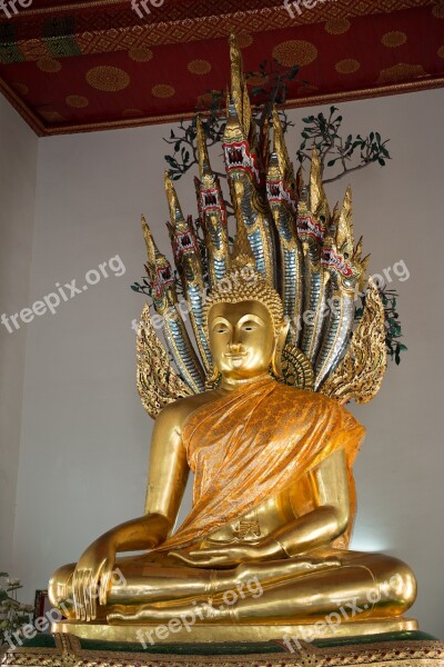 Thailand Gold Statue Temple The Buddha