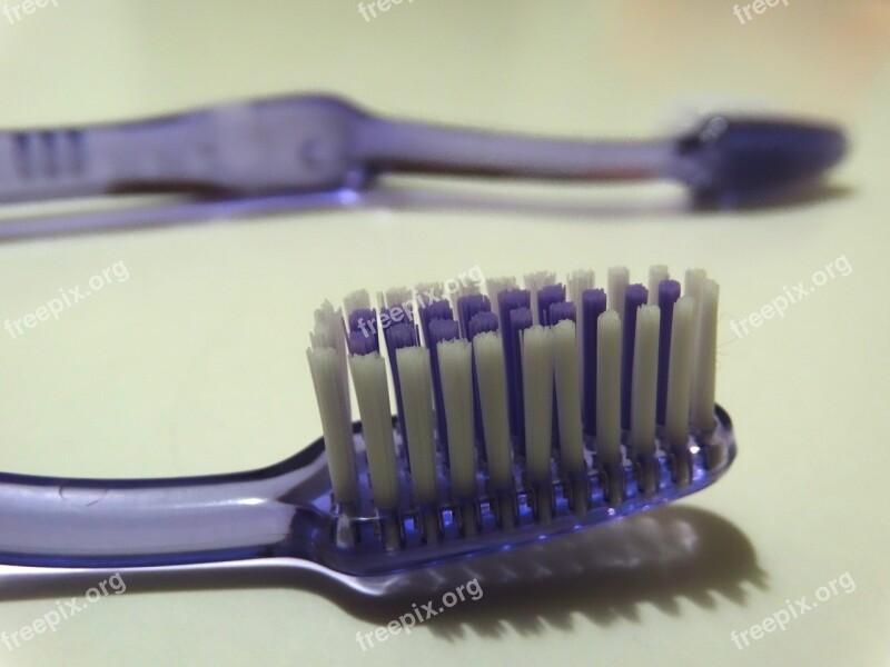 Tooth Brushes Bristles Dental Care Free Photos